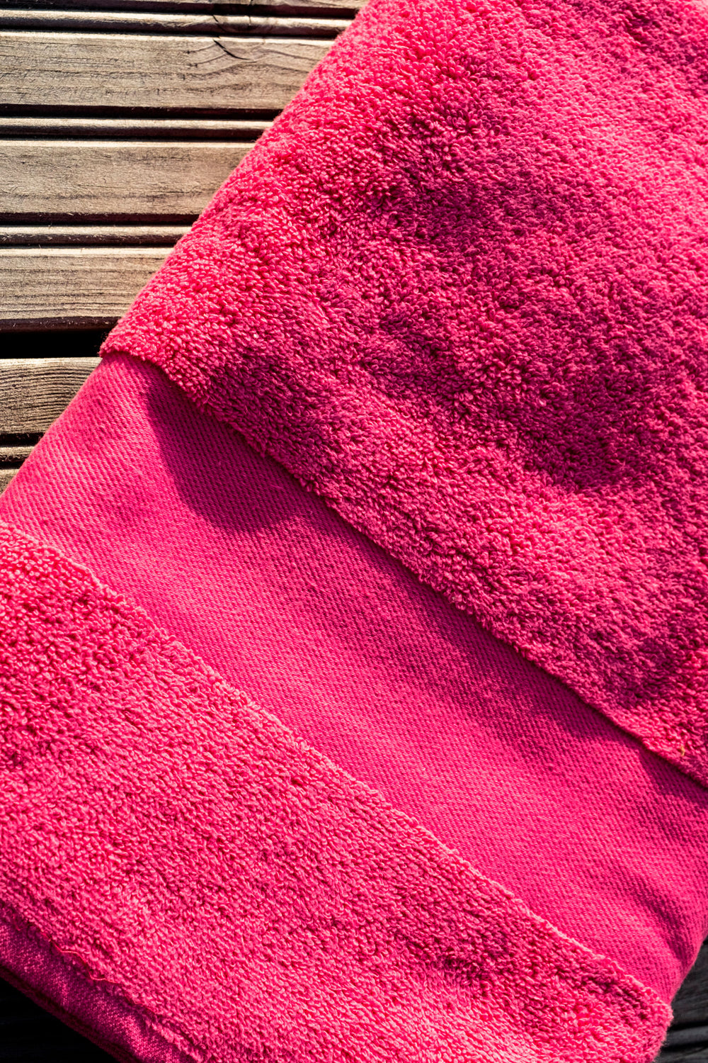 Fuchsia (57)